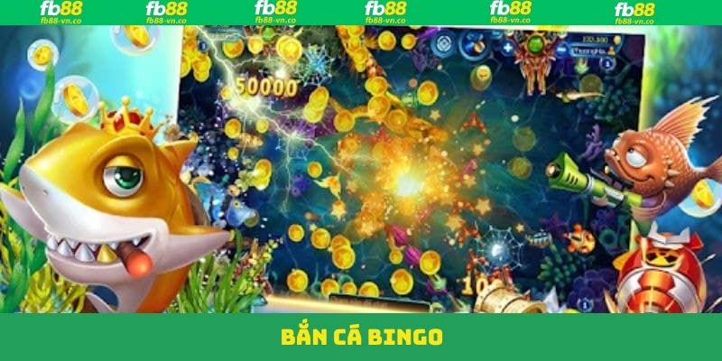 Bắn Cá Bingo FB88- Giải Trí Cực Đã, Cơ Hội Làm Giàu Dễ Dàng