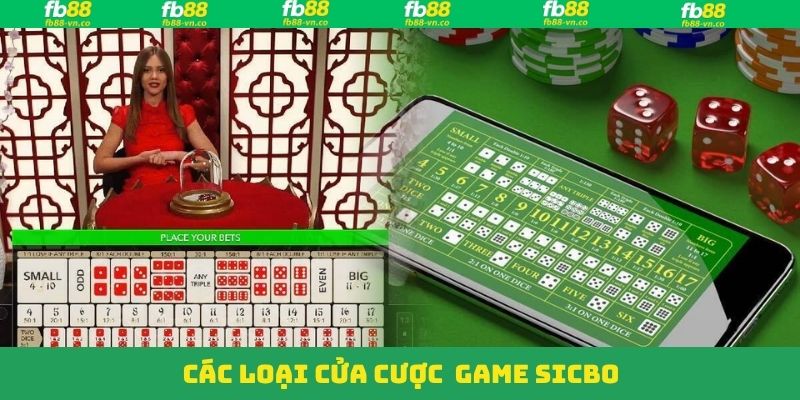Lựa chọn cược đa dạng, tỷ lệ hấp dẫn