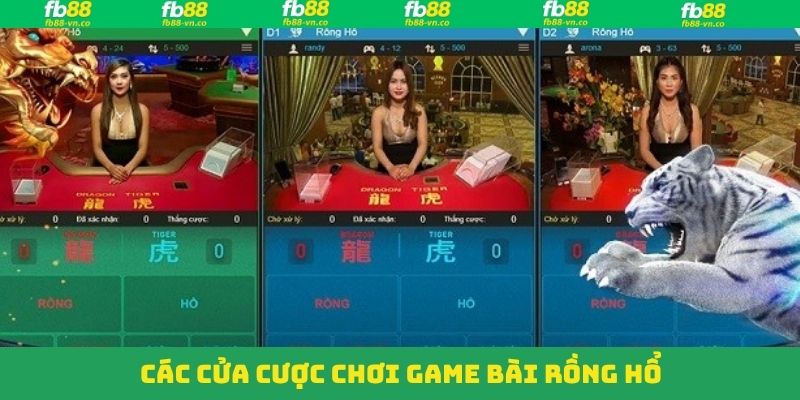 Rồng Hổ - Siêu Phẩm Casino Đỉnh Cao Tại Nhà Cái FB88 3 Các cửa cược Dragon Tiger phổ biến