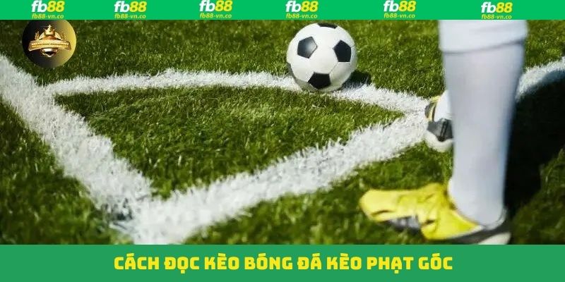 Cược phạt góc – Ít rủi ro, lợi nhuận ổn định