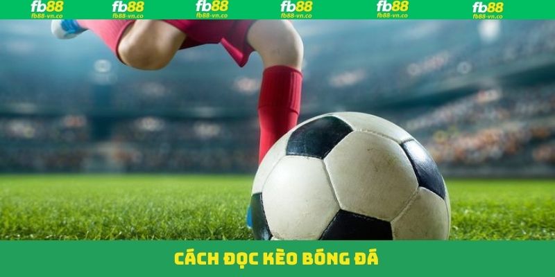 Cách Đọc Kèo Bóng Đá Tại FB88 Chuẩn Nhất Cho Người Mới