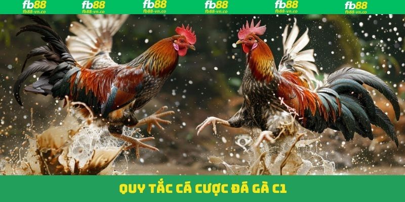 Đá Gà C1 - Trận Đấu Đỉnh Cao Trao Ngay Thưởng Lớn Tại FB88 3 Điều luật quan trọng của đấu trường đá gà C1