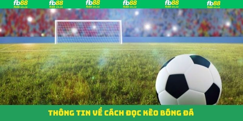 Bao quát về cách đọc kèo bóng đá