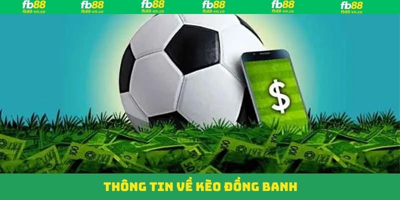 Nội dung cơ bản về kèo cược đồng banh nên nắm 