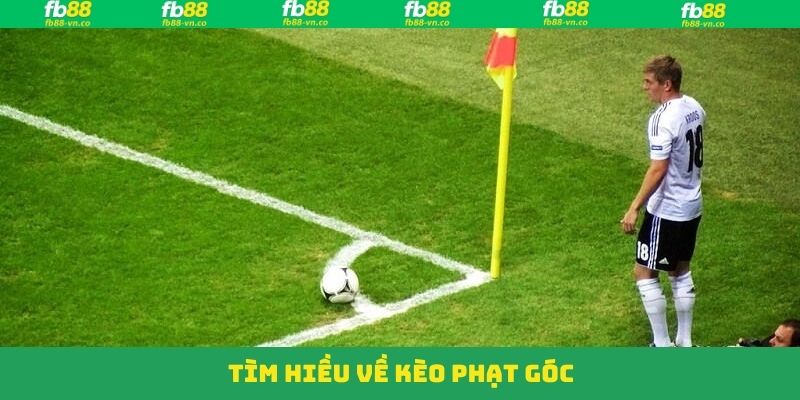Giới thiệu về hình thức cá độ đặc biệt tại FB88